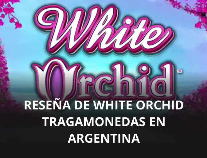 Reseña de White Orchid tragamonedas en Argentina